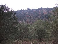 nte Ilice-20110120 051